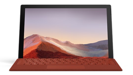 防城清洁和维护 Surface